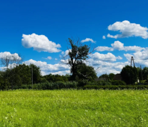 Działka Goleszów 2992 m² - 269 500zł