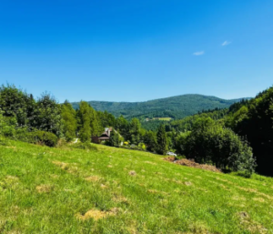 Działka Brenna 2425 m² - 529 000zł