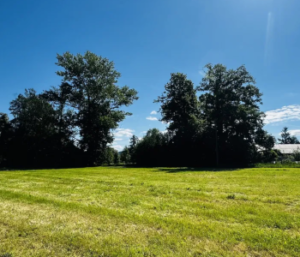 Działka Górki Wielkie 2400 m² - 529 000zł