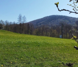 Działka Górki Małe 1746 m² - 399 000zł