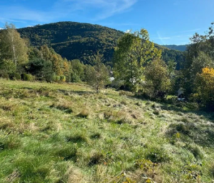 Działka Brenna 2425 m² - 628 000zł