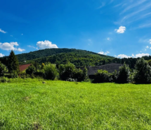 Działka Brenna 1450 m² - 420 000zł