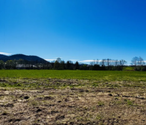Działka Górki Małe -  1046 m² - 239 000zł