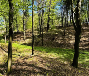 Działka Kończyce Wielkie  23 940m² - 125 000zł