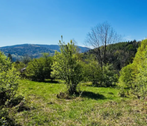 Działka Brenna 1447 m² - 380 000zł