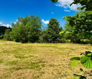 Działka Brenna
903 m² - 230 000zł