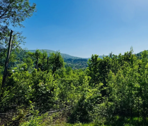 Działka Brenna
1154 m² - 335 000zł