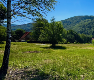 Działka Brenna 2425 m² - 559 000zł