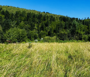 Działka Brenna
1201 m² - 265 000zł